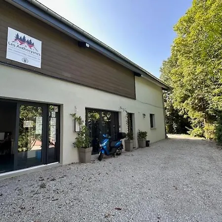 Les Anthocyanes Apartment Champagny Exterior photo